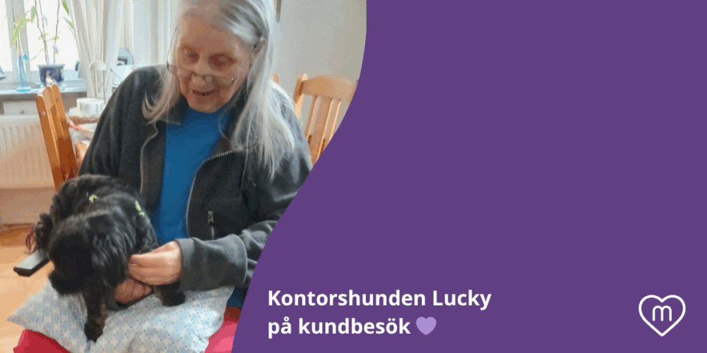 Hundar kan hjälpa i rehabilitering. Bilden visar äldre kvinna med en liten svart hund i knät.